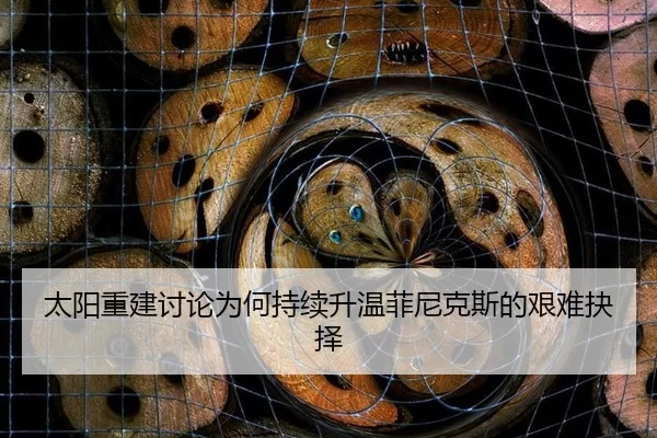 太阳重建讨论为何持续升温菲尼克斯的艰难抉择